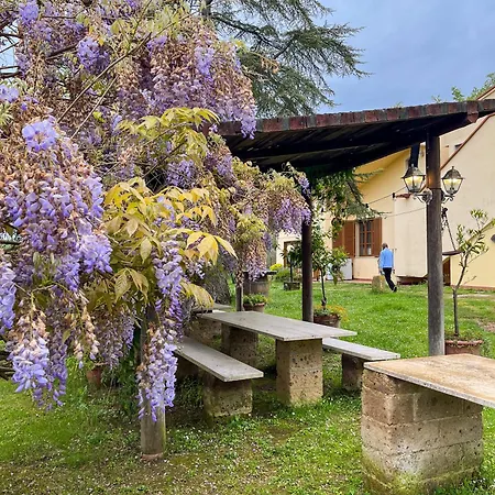 Glamping In Tuscany