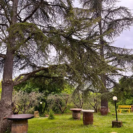 Glamping In Tuscany ラグジュアリーテント Montefoscoli