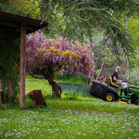 Glamping In Tuscany Роскошный шатер Montefoscoli