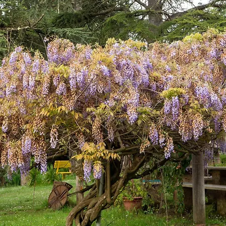 Роскошный шатер Glamping In Tuscany Montefoscoli