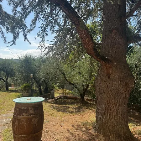 Роскошный шатер Glamping In Tuscany